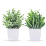 Der Rose 2 Pack Small Fake Plants Mini Artificial Potted Plants for Table Desk Home Laundry Room Bathroom Office Decor - Retail: $7