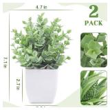 Der Rose 2 Pack Small Fake Plants Mini Artificial Potted Plants for Table Desk Home Laundry Room Bathroom Office Decor - Retail: $7