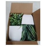 Der Rose 2 Pack Small Fake Plants Mini Artificial Potted Plants for Table Desk Home Laundry Room Bathroom Office Decor - Retail: $7