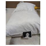 TOPGREEN Feathers Down Pillow Inserts 14x14, Set of 2, 100% Organic Cotton Shell, Soft Decorative Square Throw Pillows for Living Room Sofa, Couch, or Bed (White) - Retail: $30