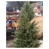 7.5 ft. Grand Duchess Twinkling Balsam Fir Slim LED Pre-Lit Artificial Christmas Tree T25 - Retail: $420