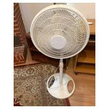 Oscillating Fan on Stand--LR