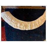 Treasure of Czars Book, Wall Shelf, Carved Tusk Horn & Acrylic Butterfly--LR