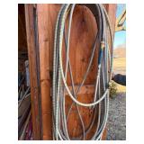 Garden Hoses--Shed