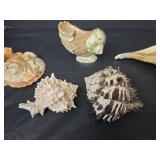 Seashells
