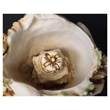 Harmony Kingdom \"Behold The King\" RW98LI Lion Family Box Figurine with Original Box and Paper Insert