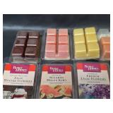 Wax Melts with 2 Light Bulbs