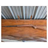 Antique Air Rifle