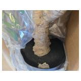 $168 8ft Olive Tree in Pot - Faux Silk Plant, 3200 Leaves