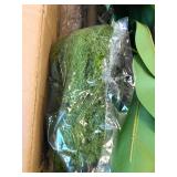 $170 7.2ft Artificial Banana Tree - Tall Indoor/Outdoor Banana Plant