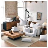 22x22 Decorative Throw Pillow Inserts - Down/Feather, 2 White