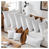 22x22 Decorative Throw Pillow Inserts - Down/Feather, 2 White