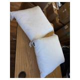 22x22 Decorative Throw Pillow Inserts - Down/Feather, 2 White