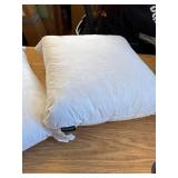 22x22 Decorative Throw Pillow Inserts - Down/Feather, 2 White