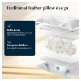 $60 Pacific Coast Goose Feather & Down Bed Pillows, Standard, Set of 2