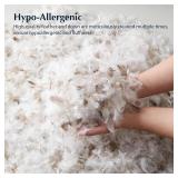 $60 Pacific Coast Goose Feather & Down Bed Pillows, Standard, Set of 2