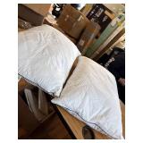 $60 Pacific Coast Goose Feather & Down Bed Pillows, Standard, Set of 2