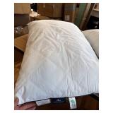 $60 Pacific Coast Goose Feather & Down Bed Pillows, Standard, Set of 2