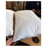 $60 Pacific Coast Goose Feather & Down Bed Pillows, Standard, Set of 2