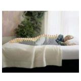 $230 Safe and Warm Micro-Fleece Low-Voltage Heated Electric Blanket GRAY!