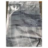 LKFBSC Funny Lion Shower Curtain, Funcy Humor Leo Animal on Toilet Shower Curtains Set, Black and White Shower Curtains, Large Cat Bathroom Curtain with Hooks 60x72 inch