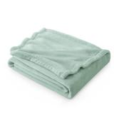 Bedsure GentleSoft Sage Green Fleece Throw Blanket - 300GSM Soft Lightweight Plush Cozy Blankets for Bed, Sofa, Couch, Travel, Camping - Retail: $17