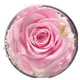 Sunia Memorial Dog Gift - Glass Angel & Dog Figurine with Real Preserved Rose, Sympathy Gifts for,Mothers Day Christmas Birthday Gift for Women Mom (Pink) - Retail: $10