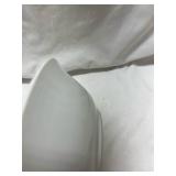 Rose Pattern China Plate with Pink Band