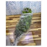 Retails for $110! Artificial Black Olive Tree Artificial Olive Plants, Tall Faux Olive Tree Faux Silk Plant Fake Plant Ultra-Realistic Silk Leaves & Natural Trunk Indoor Outdoor Use