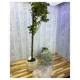 Retails for $110! Artificial Black Olive Tree Artificial Olive Plants, Tall Faux Olive Tree Faux Silk Plant Fake Plant Ultra-Realistic Silk Leaves & Natural Trunk Indoor Outdoor Use