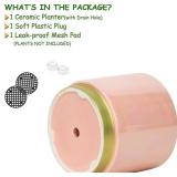 Gepege Pink Indoor Plant Pots for Plants, Large Ceramic Planter with Drainage Hole, 9.6-inch Succulent Orchid Flower Pot - Rainbow Pearl Glaze