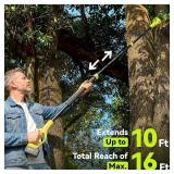Retails for $110! Electric Pole Saws for Tree Trimming, 8 Inch & 6 Inch Mini Chainsaw Cordless with Extension Pole, 16Ft Reach, 2x4.0Ah Battery, Auto Oiling, Tool-Free Chain Tensioning, Tree Trimmer f