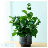 19 Artificial Ficus Plant in Textured Black Ceramic Planter Tall Faux Plant with Deep Green Leaves for Modern Home Office Shelf Bathroom Tabletop Indoor Decor - Retail: $30"