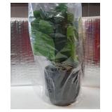 19 Artificial Ficus Plant in Textured Black Ceramic Planter Tall Faux Plant with Deep Green Leaves for Modern Home Office Shelf Bathroom Tabletop Indoor Decor - Retail: $30"