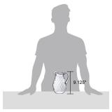 Amazing Abby - Bubbly Whirly - Plastic Pitcher (64 oz, 2 Quart), Clear Water Pitcher with Lid, Fridge Jug, BPA-Free, Shatter-Proof, Great for Iced Tea, Sangria, Lemonade, Juice, Milk, and More