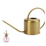 Remiawy Watering Can Indoor Outdoor Stainless Steel Watering Cans for House Plants Long Spout Water Can for Succulent Bonsai Garden Flower(40oz/1300ml) - Retail: $30