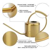 Remiawy Watering Can Indoor Outdoor Stainless Steel Watering Cans for House Plants Long Spout Water Can for Succulent Bonsai Garden Flower(40oz/1300ml) - Retail: $30