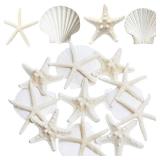 3-4 Inches Large Starfish and Scallop Shells for Crafts 12PCS, Natural Beach Sea Shells for Crafting, Baking Shells Perfect for White Christmas Decor Beach Party Wedding Fish Tank DIY Crafts
