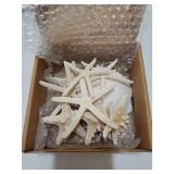 3-4 Inches Large Starfish and Scallop Shells for Crafts 12PCS, Natural Beach Sea Shells for Crafting, Baking Shells Perfect for White Christmas Decor Beach Party Wedding Fish Tank DIY Crafts