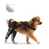 Double Dog Knee Brace for Torn Acl Hind Leg, Double Dog Leg Braces for Back Leg for Support, ACL Brace for Dogs, Built-In Hard Metal Spring Support, Night Reflective Strip, Adjustable Strap(Extra Smal