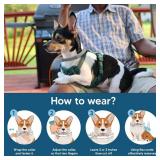 Flea Collar for Small Dogs, Tick Collars for Puppy, Small Dog Flea Collar Under 18 lbs, 8 Months Protection (Pack of 2) - Retail: $30