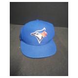 Toronto Blue Jay Hat