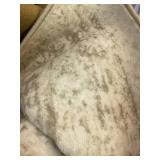 Area Rug 6x9 Vintage Rug: Washable Living Room Rugs Retro Medallion Distressed Large Rugs Soft Low Pile Non-Slip Indoor Floor Carpet for Bedroom Kitchen Nursery Dining Table Office (Beige, 6