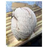 HYMOKEGE Beige Queen Comforter Seersuckers, All Season Luxury Bed in a Bag