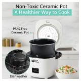 Rice Robot Personal Rice Cooker, PFAS-free, Nonstick. 1 Quart Capacity, with Stainless Steel Steamer Tray, Measuring Cups, Recipe Book with 60 Recipes, and Serving Spoon, As Seen On TV - Retail: $40