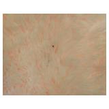OPPODREAM 4x6 Pink Rugs for Bedroom, Ultra-Soft Fluffy Area Rugs for Living Room, 4 x 6 Shag Carpet for Nursery, Kids, Girl, Boy, Baby, Plush, Fuzzy, Shaggy, Cute Home Decor - Retail: $22