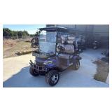 Unused SD Lanch SDLE80 4 seat Deluxe Golf Carts In PURPLE
