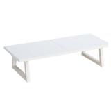 TEAMIX 24 inch Monitor Stand Riser, White Wood & Steel Computer Monitor Stand with Storage, Laptop, PC, Printer Stand Riser for Desktop Office Desk Organizers