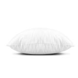 EDOW Throw Pillow Insert, LightweightâSoft Polyester Down Alternative Decorative Pillow, Sham Stuffer, Machine Washable. (White, 16x16)