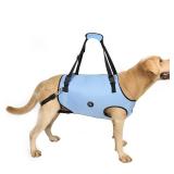 Coodeo Dog Lift Harness, Pet Support & Rehabilitation Sling Lift Adjustable Padded Breathable Straps for Old, Disabled, Joint Injuries, Arthritis, Loss of Stability Dogs Walk (Blue, L)